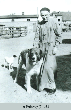 With dogs